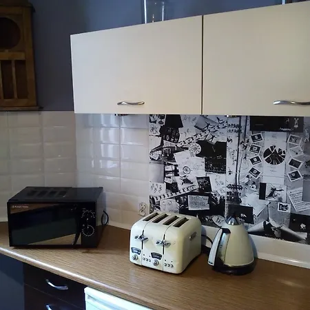 Apartment Silver Wolf