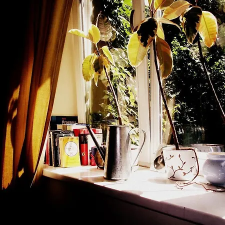 Silver Wolf Apartment Krakow